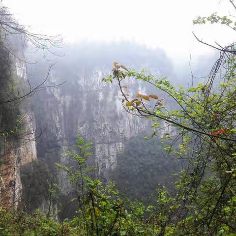 武隆天坑群