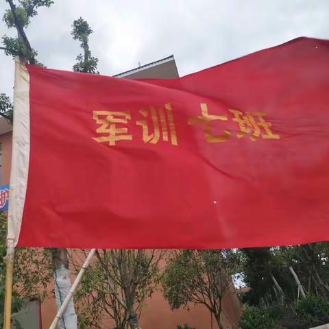 军训日记 | 桂阳职校的军训七队生活记录