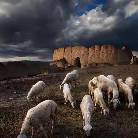 《民俗摄影系列讲座》报名通知