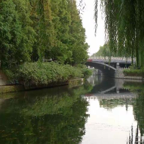 济南市景及市井