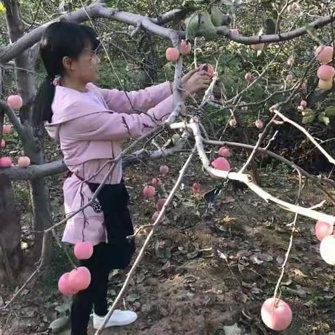 劳动创造美，美在感恩心——川口一中八三班国庆节剪影