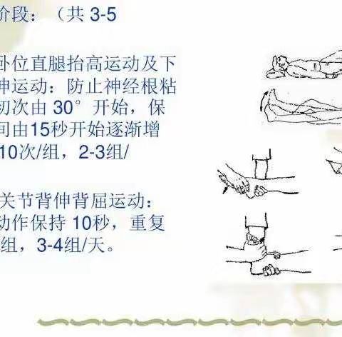 骨科一科一护一特色胸腰椎骨折功能锻炼