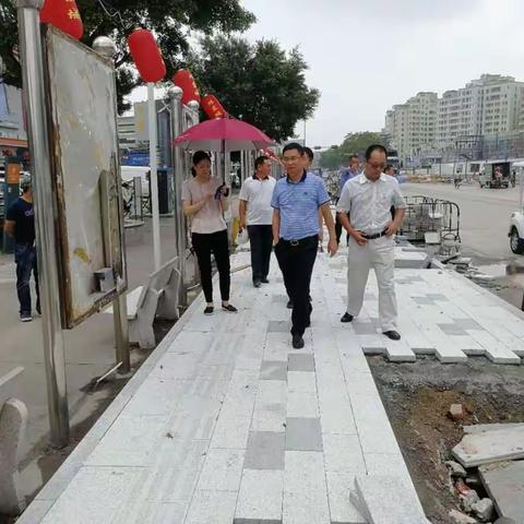 光明区城市管理局李晗副局长行走光明检查田寮大道景观提升项目