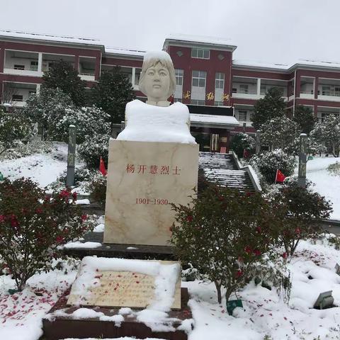 扫雪除冰，保障安全