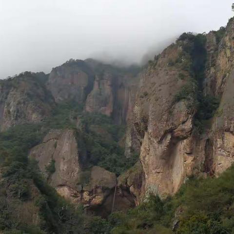 细雨润江南之五 2019.2.19 雁荡山
