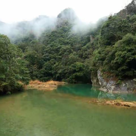 细雨润江南之六  2019.2.20  楠溪江