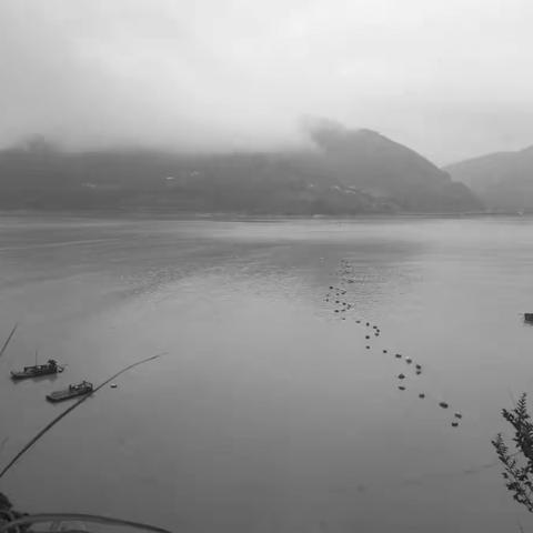 细雨润江南之七  2019.2.21-2.22         霞浦、三坊七巷、开元寺