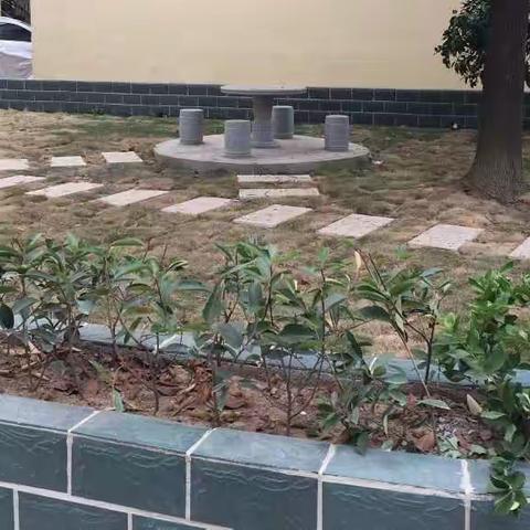 青山区厂前街文明创建工作情况