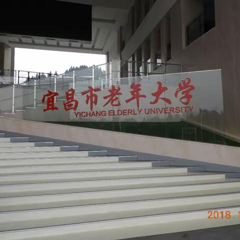 老年大学形体舞基础一班