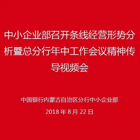 中小企业部召开条线经营形势分析暨总分行年中工作会议精神传导视频会