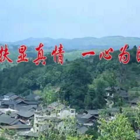 卢龙县驻村工作纪实（三）——关注民生篇