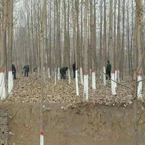 【黄沙镇】打好新年第一战——邢都公路亮化提升攻坚战