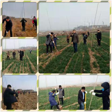 黄沙镇吹响集结号，打响植树造林攻坚战