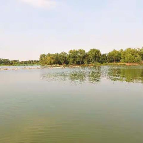 女人美，美在自然——2017年9月12日下午，北京大兴南海子公园边走边拍