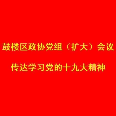 区政协党组传达贯彻党的十九大精神