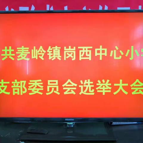 中共麦岭镇岗西中心小学支部委员会选举大会