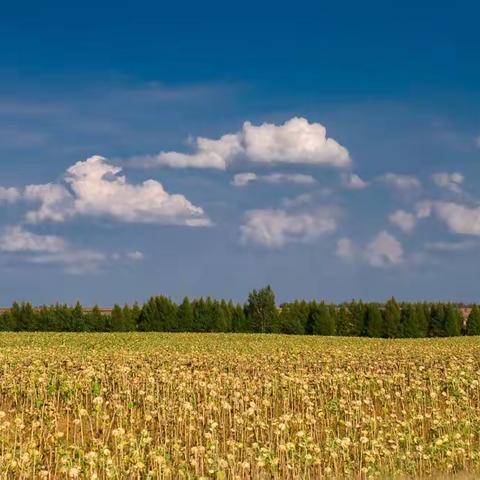 难忘的岁月，回顾望江工校欢庆团聚会活动选编！