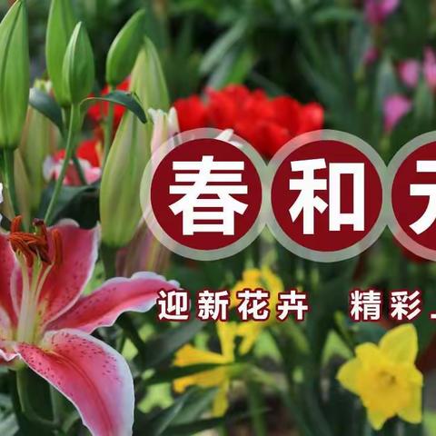 【春和元】迎新花卉 精彩上市！