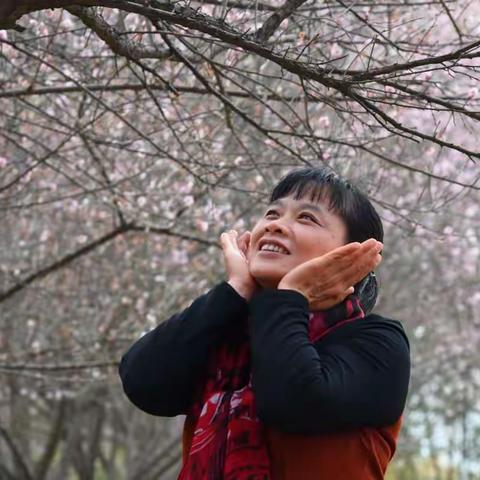 【悠远空灵】梅开时节再逢君