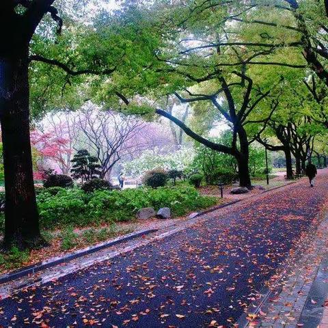 春风化雨润无声，一枝一叶总关情 ——记2018—2019学年度第一学期地理教研组公开课