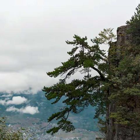 恩施、大峡谷、神龙架、三峡三动六日游之—恩施大峡谷篇(20171015)