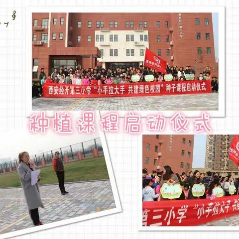 【经开三小●特色课程篇】“小手拉大手，共建绿色校园”暨种子课程活动图片集锦