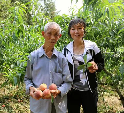 张家界新越物业服务有限公司组织开展扶贫助农爱心采摘活动
