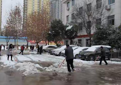 铲冰除雪---西安市育才中学党员干部志愿者在行动