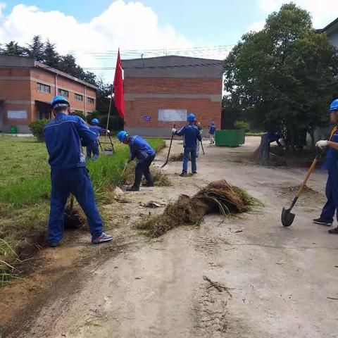 党员活动，共建美丽厂区