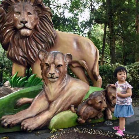 chloe游上海动物园