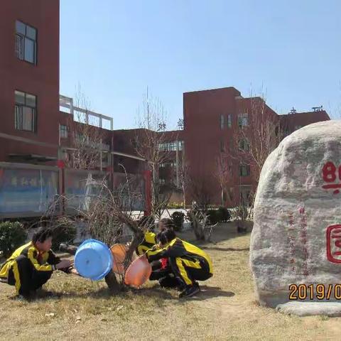 我和春天有个约会——滑县实验学校小学部开展植树节活动