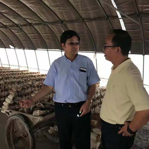 【普惠金融在上海】宝钢宝山罗店支行走访辖内农业企业，倾听企业需求，助力农企发展