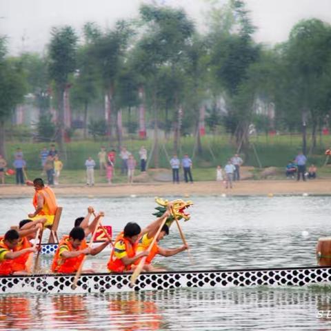 《大千世界随风看》---端午赛龙舟