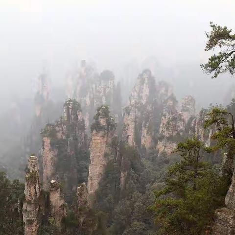 闻名世界的天门洞，仙境般的天子山