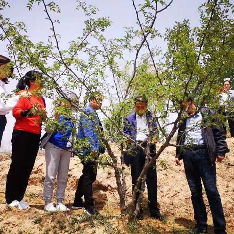 农业安全生产4月25日工作动态