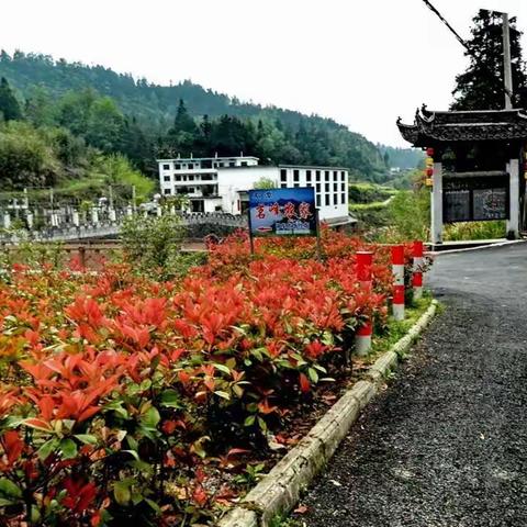 安徽黄山古村落四日游第四天～石潭村 坡山村