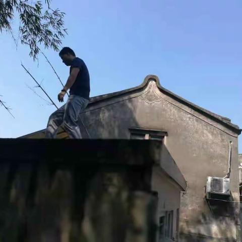 汫洲镇继续做好防控登革热工作