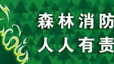 饶平县人民政府关于森林防火的命令