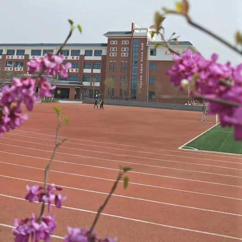 家长进课堂—小学生健康安全知识