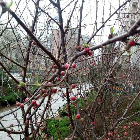 预防电信诈骗，邀请民警支招