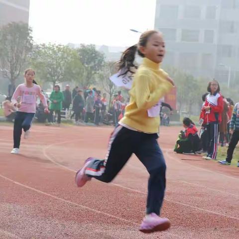 去拼搏才会胜利-----实验小学运动会剪影