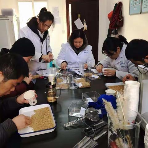 我市飞播种子质量检验工作全面完成