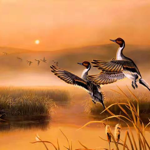 候鸟——养老深度游