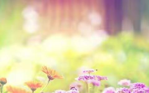 逸夫小学特邀管见老师作家庭教育专题讲座