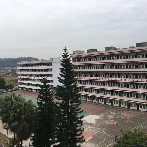 陶圩完全中学教学常规检查小结