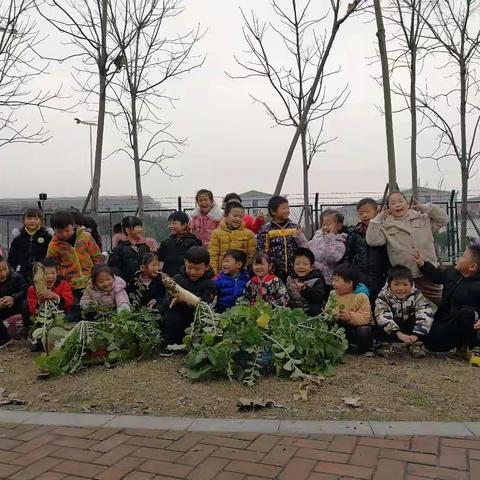 萝卜开大会——思思班家长助教活动
