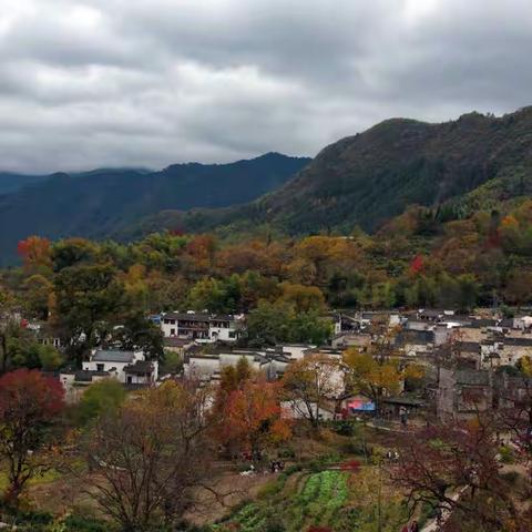 塔川的秋色