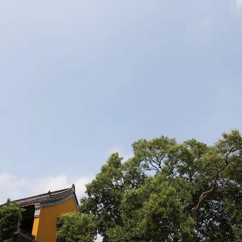 戊戌夏日老友悦旅欣游苏杭齐鲁（之四）谒访观音禅寺