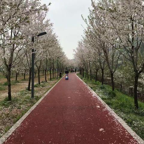 环境整治打造美丽乡村   产业植入提升“造血”功能