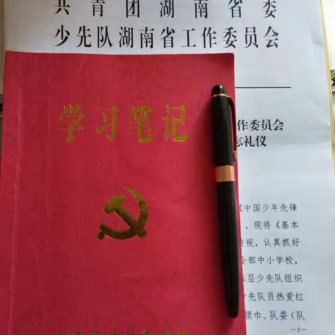 不忘初心勇担当，牢记使命铸师魂 ——溆浦县乡镇妇联主席和学校大队辅导员培训